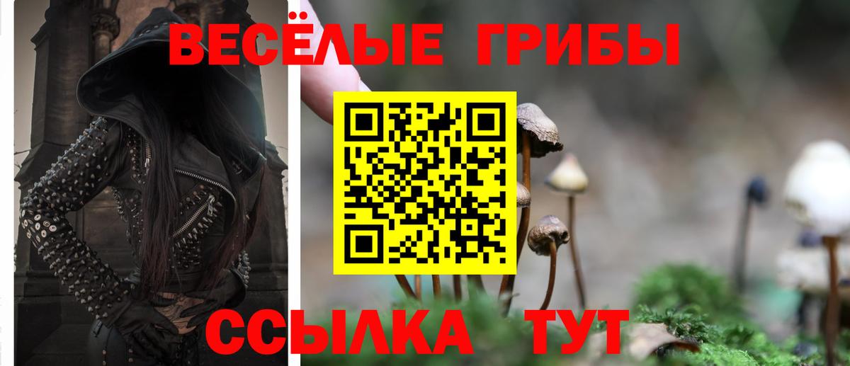 Псилоцибиновые грибы GOLDEN TEACHER  Вход с VPN  Родники 